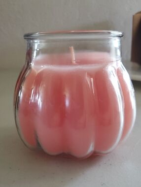 Serenity Rose Candle NEW 17 oz Approx burn time 88 hours Celebrating Home